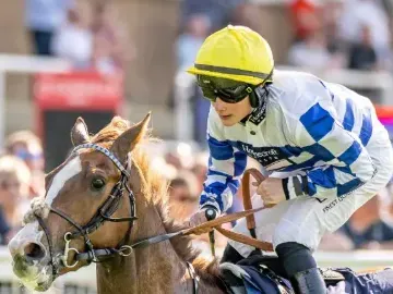 A horse and a jockey