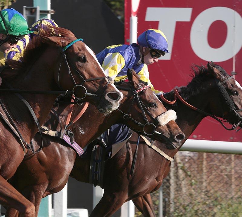 Jockeys racing at Brighton Racecourse.