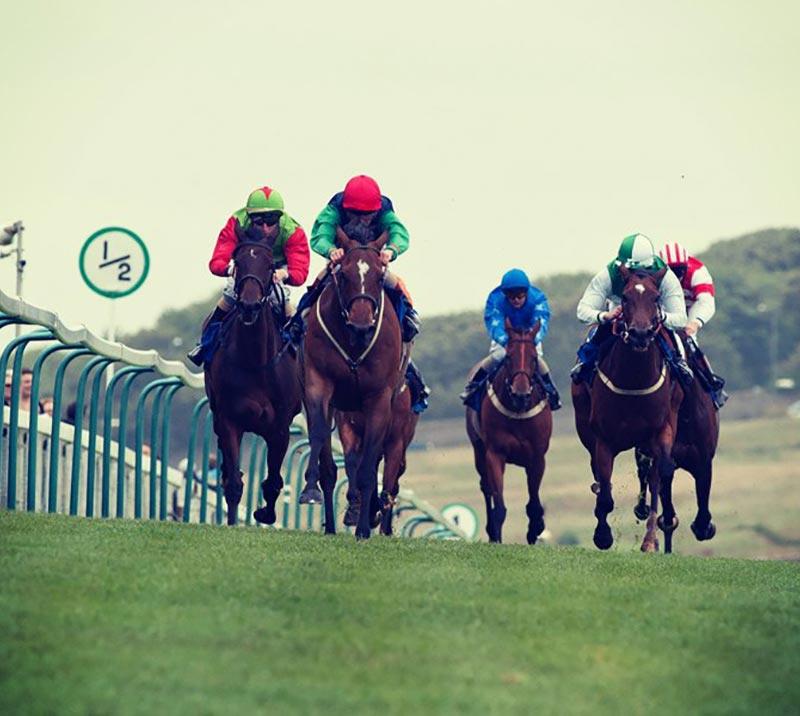 Horses racing uphill towards the finish at Brighton Racecourse