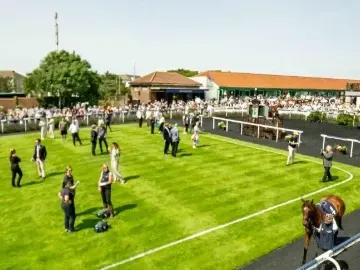 Racegoers around horse racing parade ring