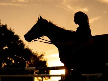 Horse and groom at golden hour sunset