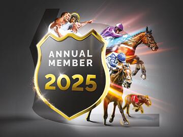 brighton 2025 annual memberships artwork