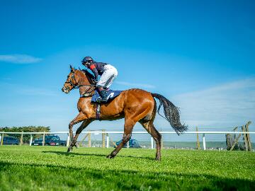 Brighton Racecourse 2024 Fixture List Announced