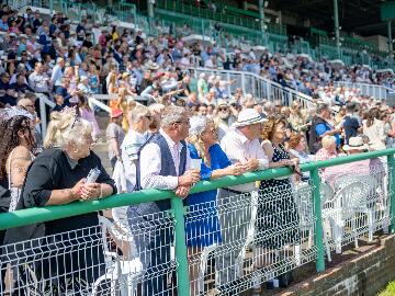 Brighton races in spring