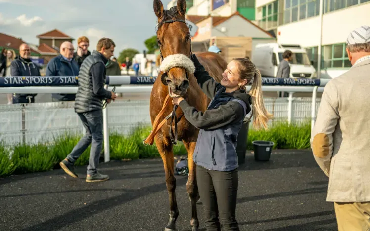 A horse posed in the parade ring at Brighton Racecourse