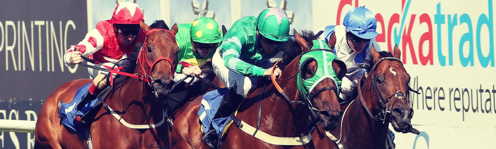 Horses racing at Brighton Racecourse