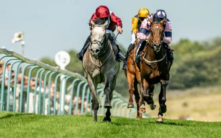 Horses racing towards the finish line along the grandstand at Brighton Races