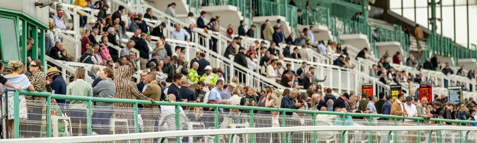The crowds lined up at various levels of the grandstand at Brighton