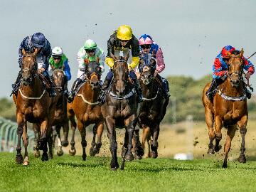 Brighton Races - Brighton Festival of Racing - Horse Racing 
